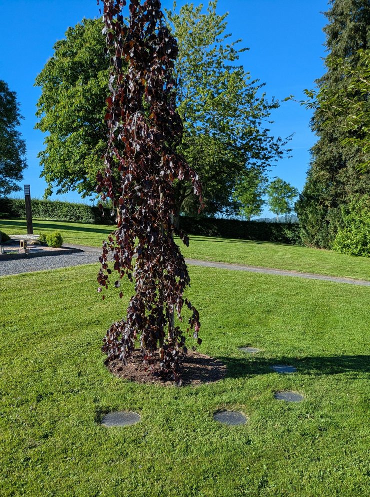 Erdröhren Friedhof Eisborn