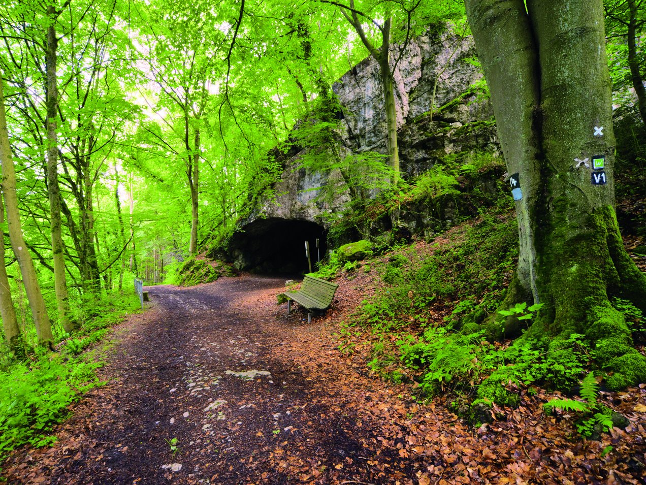 Wanderweg an der Feldhofhöhle