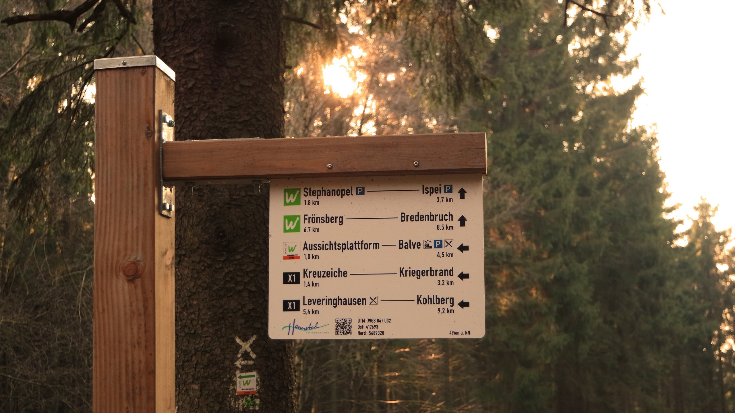 SWR Balver Wald
